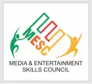 Media and Entertainment Skills Council (MESC)